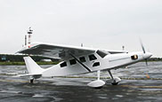 Plane paint 